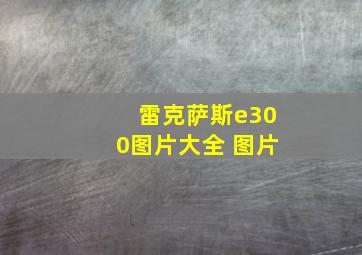 雷克萨斯e300图片大全 图片